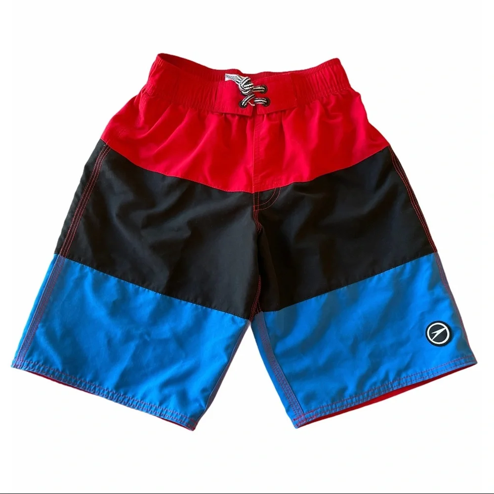 Boys Speedo Blocked Volley Swim Short